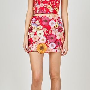 Floral Embroidered Mini Skirt